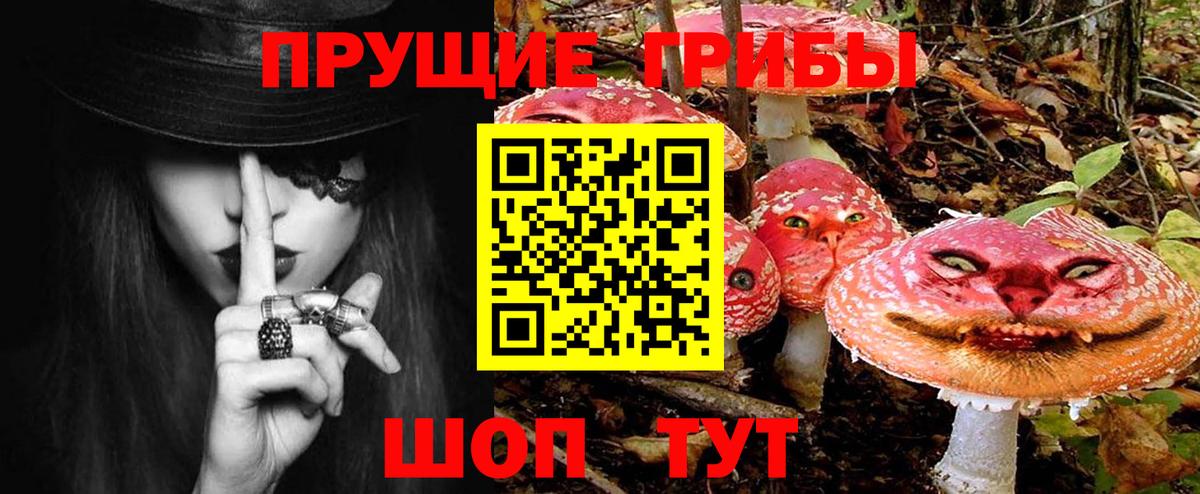 Алексеевка  Псилоцибиновые грибы GOLDEN TEACHER  купить наркотик  Вход с VPN 