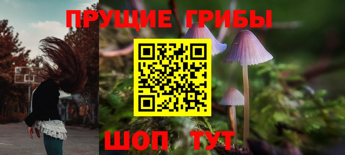 Галлюциногенные грибы прущие грибы Алексеевка