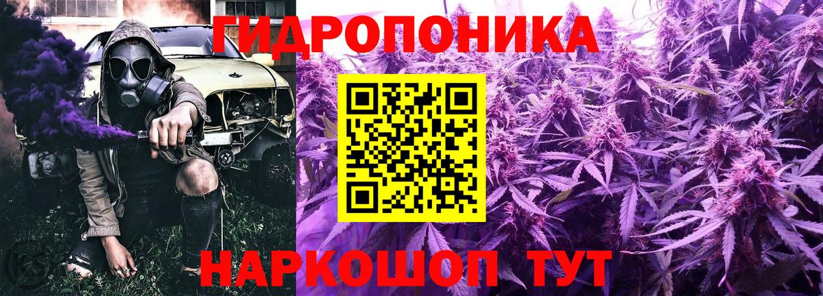 Каннабис Amnesia Алексеевка